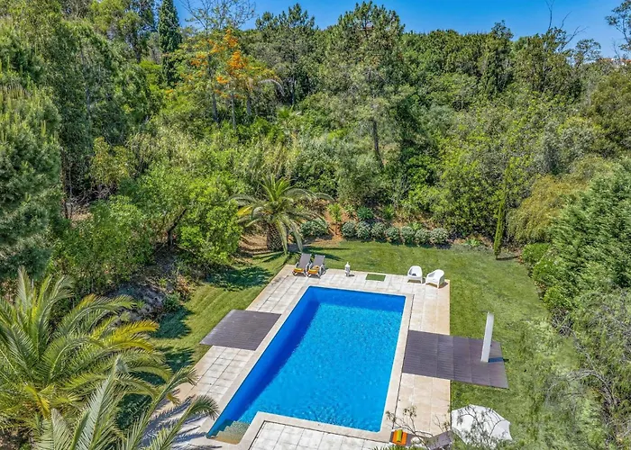 Eucalipto By * Lagoa (Algarve)